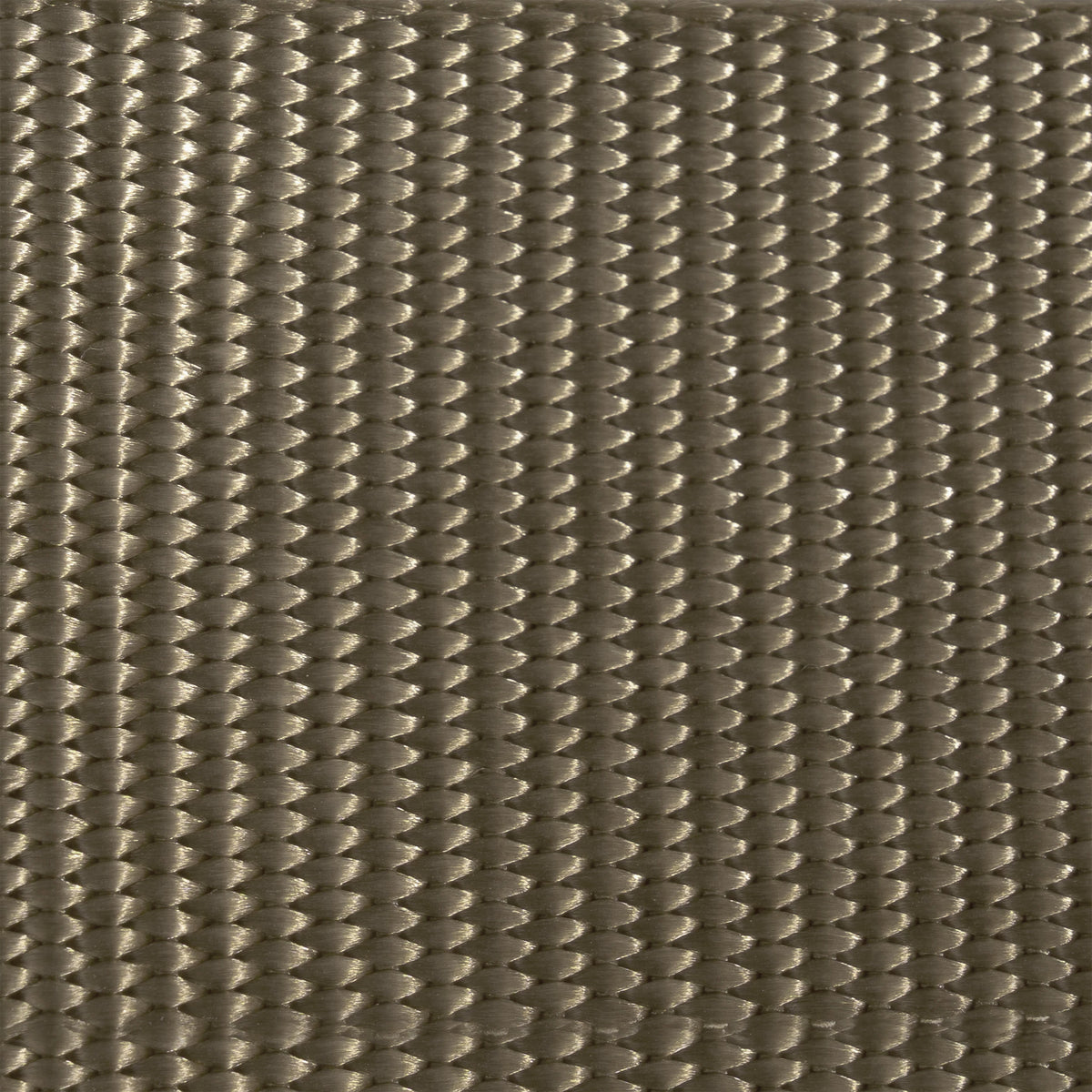 Rothco AR 670-1 Compliant Military Riggers Belt