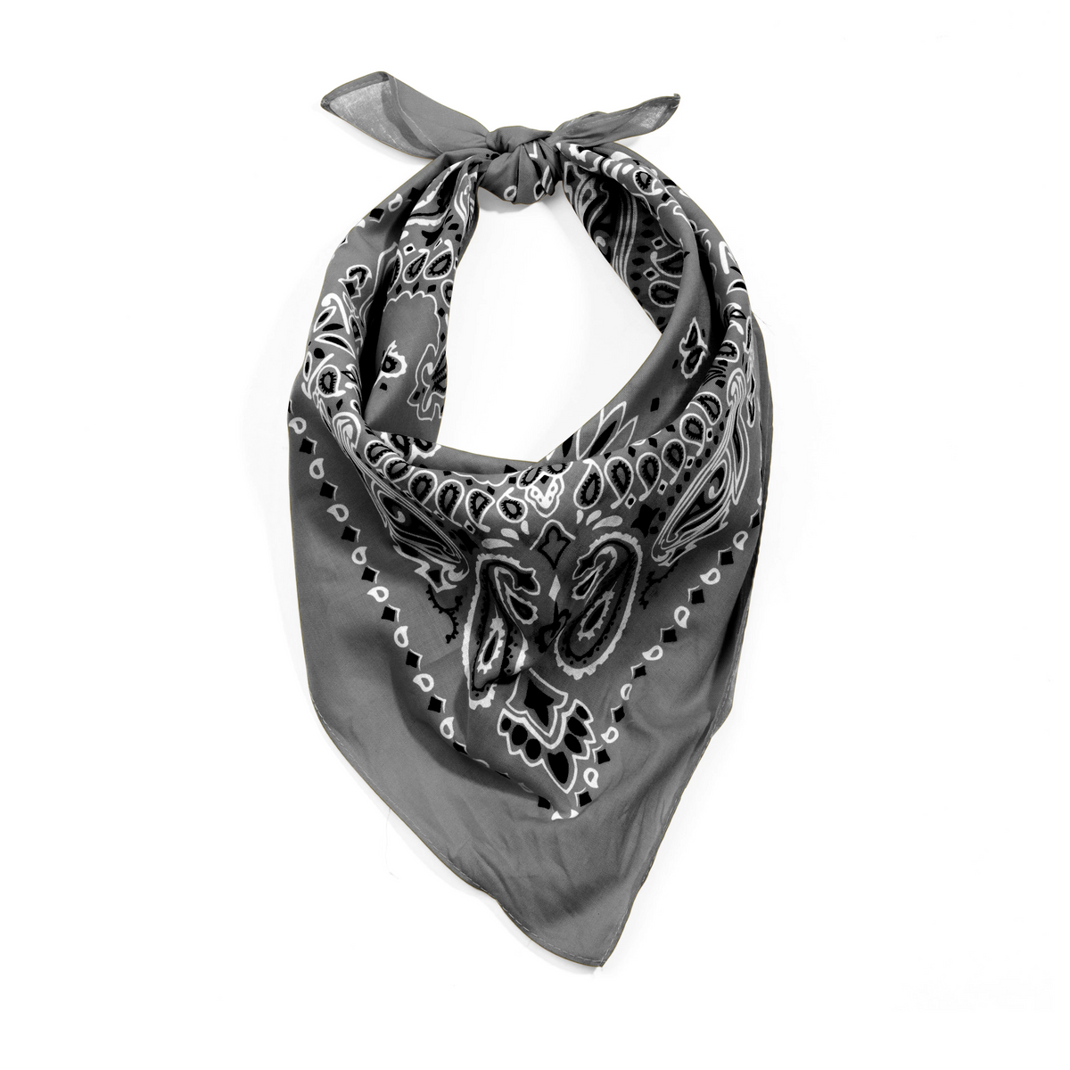 Rothco Trainmen Paisley Bandana - 22" X 22"