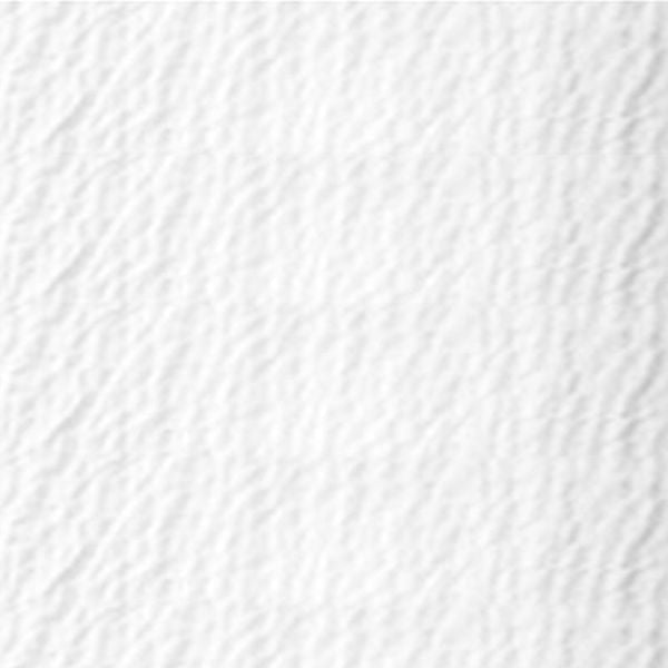 Close-up of Ganesh Mills Oxford Bed Topper - Crinkle Weave, featuring a white textured surface with subtle ripples—ideal as a soft bed topper or for wholesale bulk orders.