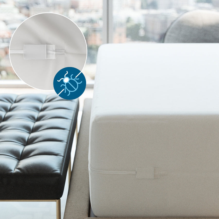 The Bargoose AllergyCare Organic Cotton Fitted Mattress Encasement (12 Deep) is shown beside a black tufted bench. An inset highlights its zippered cover with a blue dust mite icon for bedbug protection, set against a city view background.