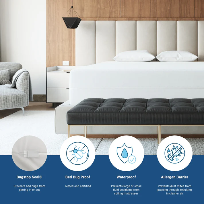 A modern bedroom features a large bed with white linens, a bench, and gray chair. Icons highlight Bargoose AllergyCare Cotton Zippered Mattress Encasement (12" deep) for bed bug proof, waterproof, and allergen barrier protection.