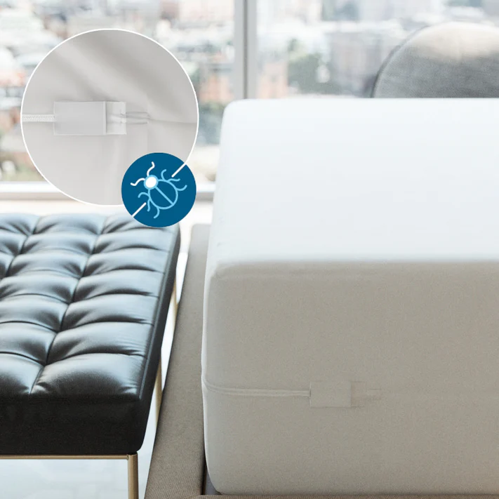 The Bargoose AllergyCare Cotton Zippered Mattress Encasement (12" Deep) covers a mattress on a bed frame near a black tufted bench; an inset shows the zipper and icons highlighting hypoallergenic and bed bug protection.