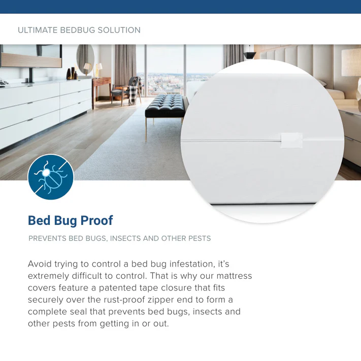 A modern bedroom with a large window and neatly made bed. An inset close-up highlights the Bargoose BedBug Solution™ Deep Hybrid Zippered Mattress Encasement for 12”-16” mattresses, showcasing its pest prevention and waterproof protection.