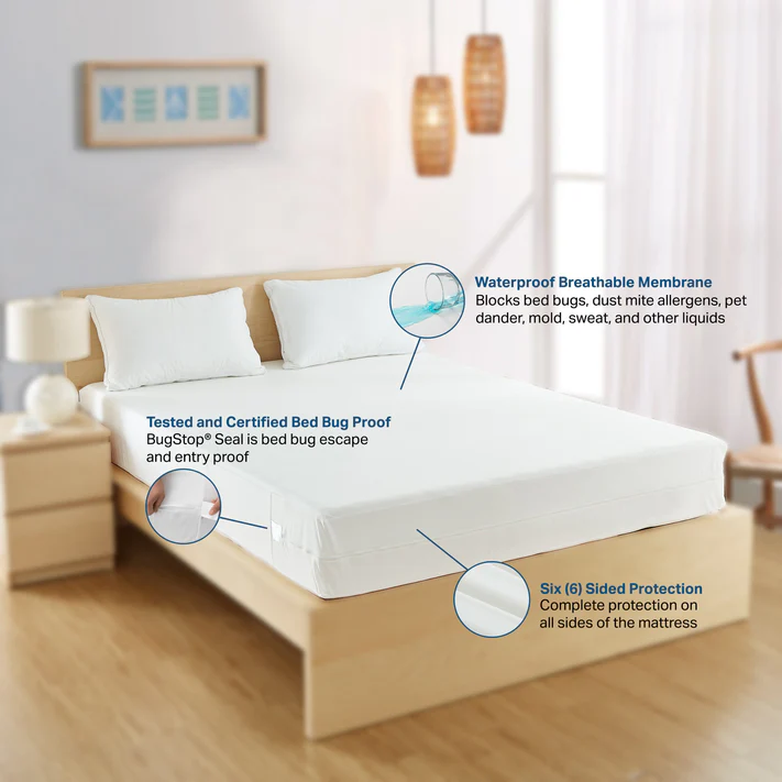 A bright bedroom features a neatly made bed with white linens, highlighting the Bargoose BedBug Solution™ Elite Low Profile Zippered Mattress/Boxspring Cover—fits mattresses up to 6 deep, waterproof, hypoallergenic, and certified bed bug proof for six-sided protection.