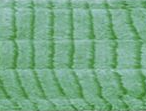 Close-up of a green banana leaf with parallel veins and texture, reminiscent of the efficient design of KSE Microfiber Scrubber Mop Pads - Folded Over Edge for thorough cleaning.