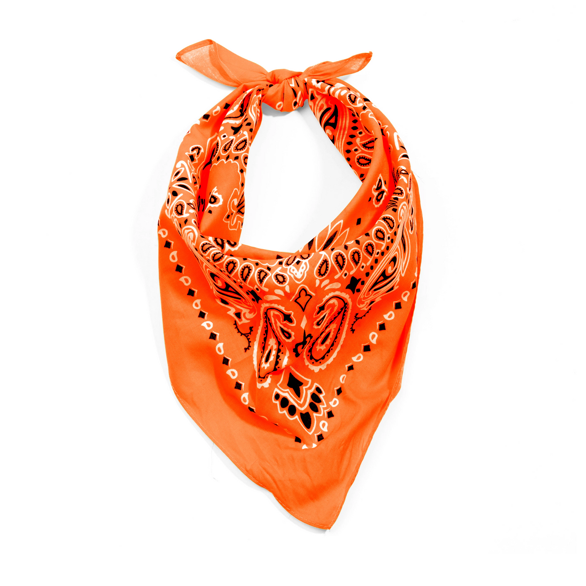 Rothco Trainmen Paisley Bandana - 22" X 22"