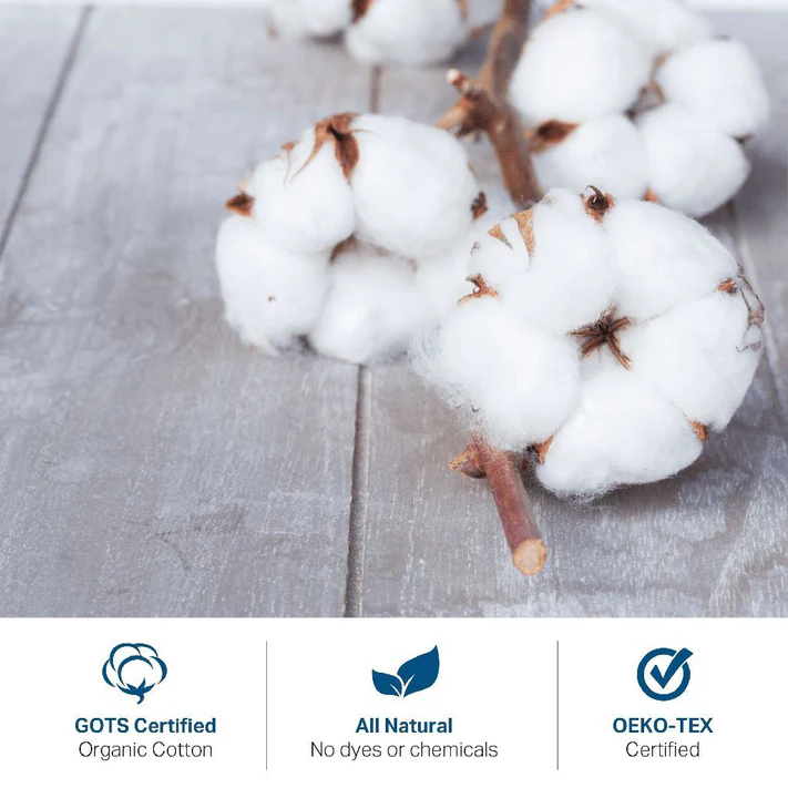 Close-up of raw cotton bolls on wood. Icons and text highlight Bargoose AllergyCare™ Organic Cotton Zippered Mattress Encasement—GOTS Certified Organic, All Natural, No dyes/chemicals, OEKO-TEX Certified, and a dust mite barrier for non-toxic bedding.