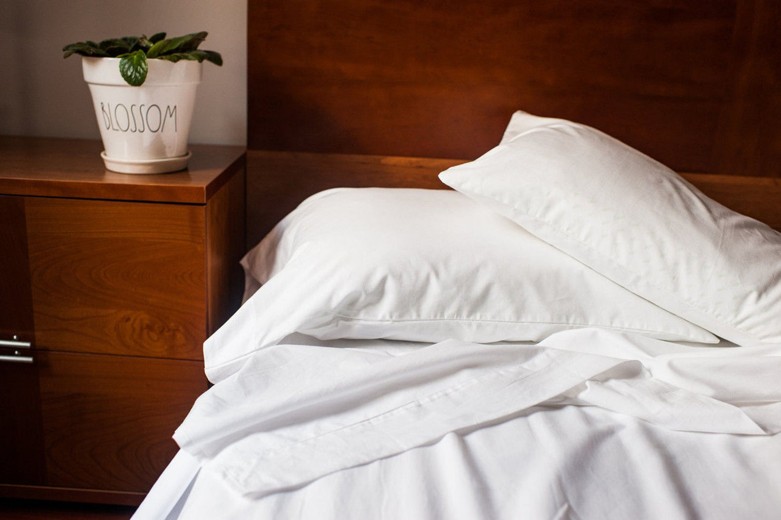 Thomaston Mills Pillowcases, made from 100% ring spun combed cotton, rest unmade beside a wooden nightstand topped with a potted plant labeled BLOSSOM.