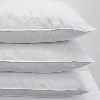 Pillow Soft &amp; Downey Natural Pillows - 1Concier